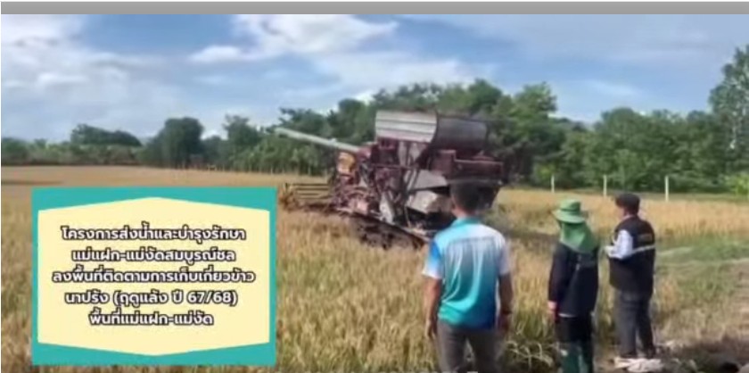 โครงการส่งน้ำและบำรุงรักษาแม่แฝก-แม่งัดสมบูรณ์ชล ลงพื้นที่ติดตามผลการเก็บเกี่ยวข้าวนาปรัง (แผนฤดูแล้ง 67/68) เพื่อเตรียมพร้อมแผนจัดสรรน้ำและการเพาะปลูกพืชฤดูฝน ปี 68