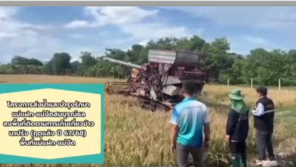 โครงการส่งน้ำและบำรุงรักษาแม่แฝก-แม่งัดสมบูรณ์ชล ลงพื้นที่ติดตามผลการเก็บเกี่ยวข้าวนาปรัง (แผนฤดูแล้ง 67/68) เพื่อเตรียมพร้อมแผนจัดสรรน้ำและการเพาะปลูกพืชฤดูฝน ปี 68